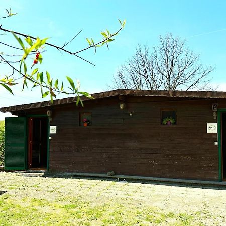 Night In The Wood Sorbo Villa Campagnano Di Roma Exterior photo