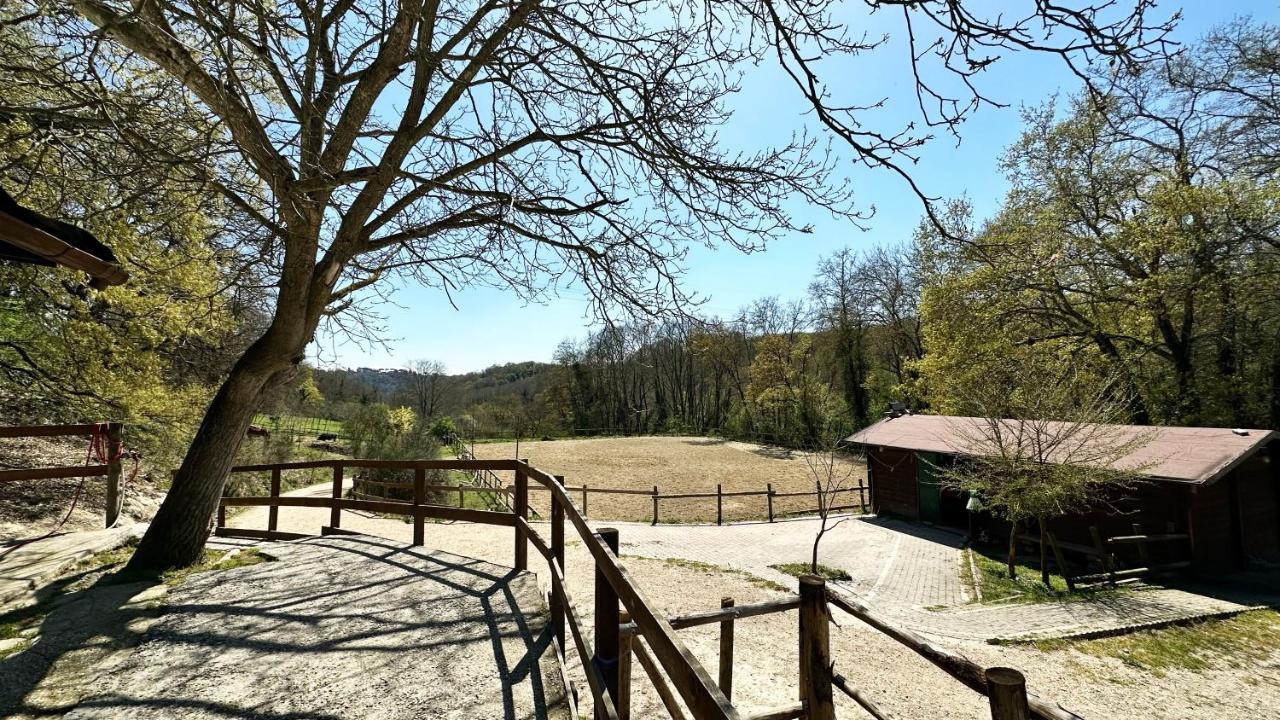 Night In The Wood Sorbo Villa Campagnano Di Roma Exterior photo