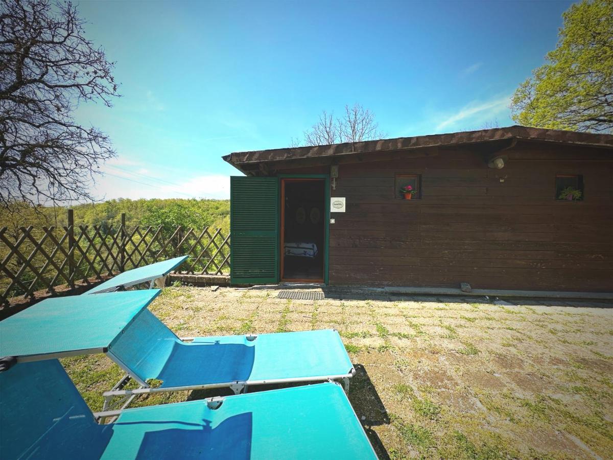 Night In The Wood Sorbo Villa Campagnano Di Roma Exterior photo