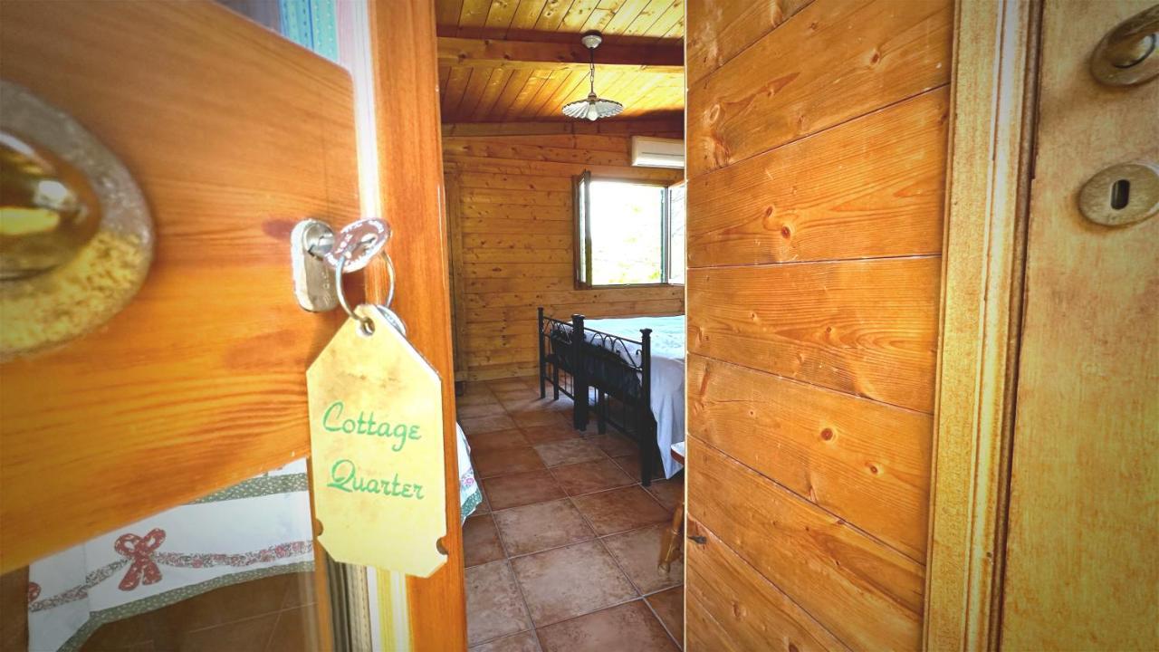 Night In The Wood Sorbo Villa Campagnano Di Roma Exterior photo